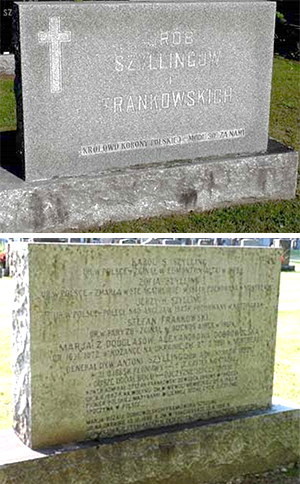 Grave of the Szylling and Frankowski families